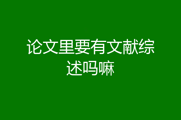 论文里要有文献综述吗嘛