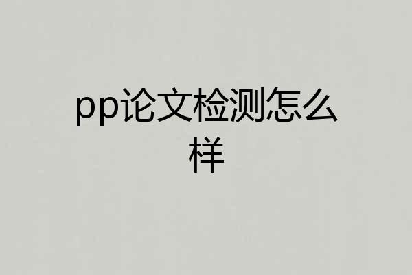 pp论文检测怎么样