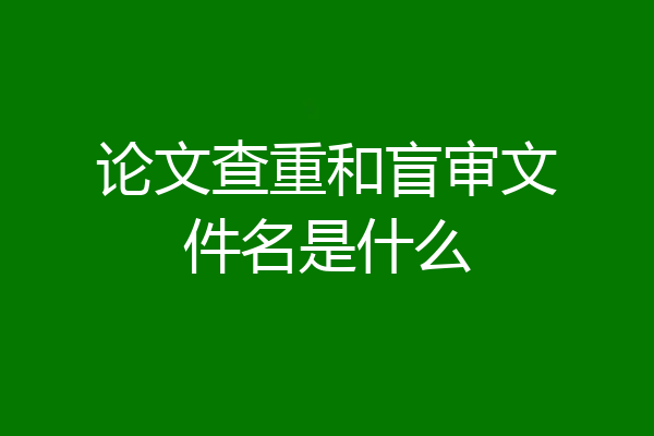 论文查重和盲审文件名是什么