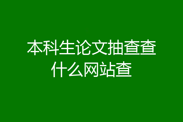 本科生论文抽查查什么网站查