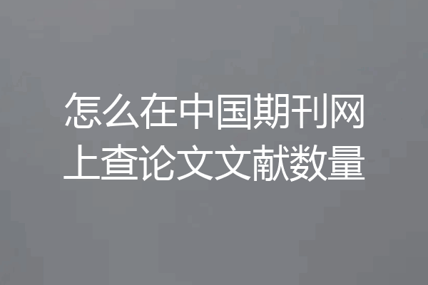 怎么在中国期刊网上查论文文献数量