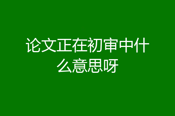 论文正在初审中什么意思呀