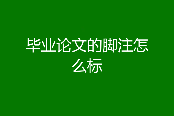 毕业论文的脚注怎么标