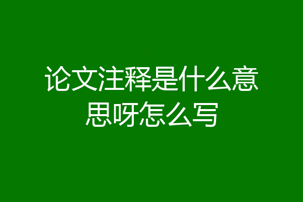 论文注释是什么意思呀怎么写