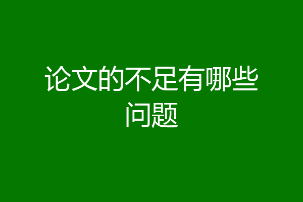论文的不足有哪些问题