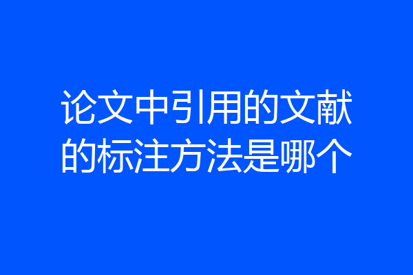 论文中引用的文献的标注方法是哪个