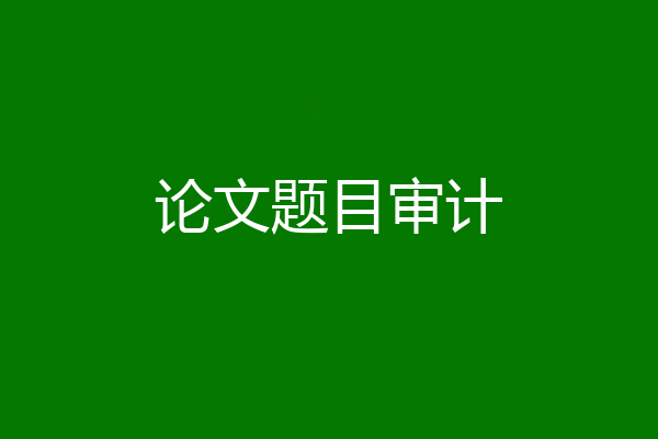 论文题目审计
