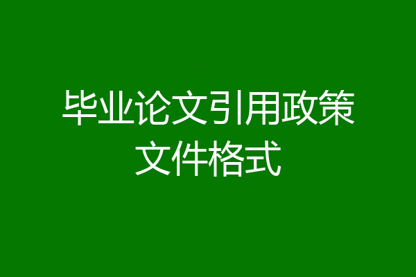 毕业论文引用政策文件格式