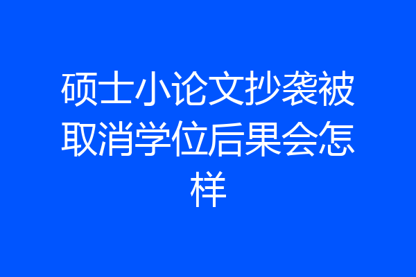 硕士小论文抄袭被取消学位后果会怎样
