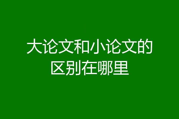 大论文和小论文的区别在哪里