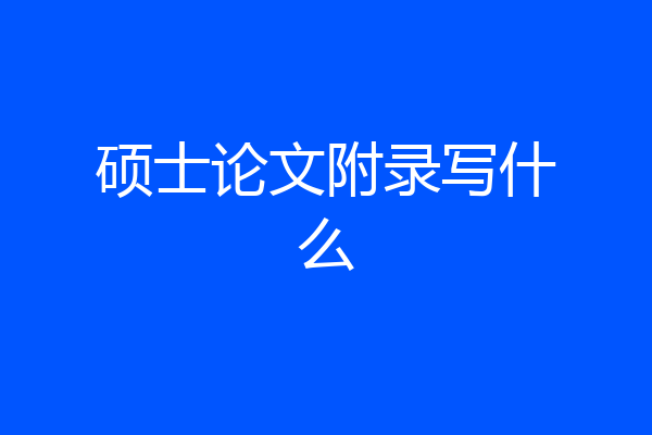 硕士论文附录写什么