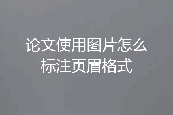 论文使用图片怎么标注页眉格式