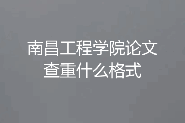 南昌工程学院论文查重什么格式