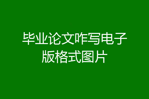 毕业论文咋写电子版格式图片