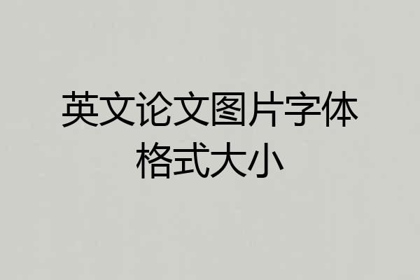 英文论文图片字体格式大小