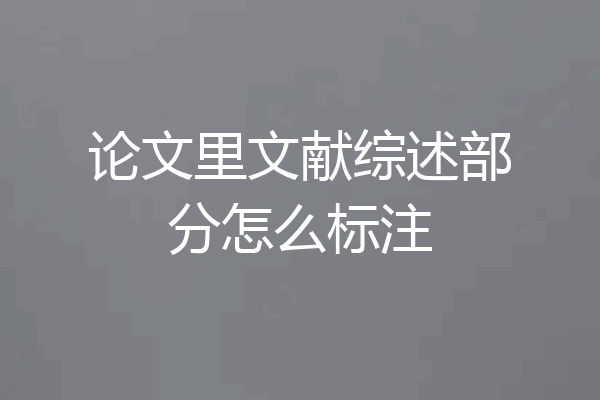 论文里文献综述部分怎么标注