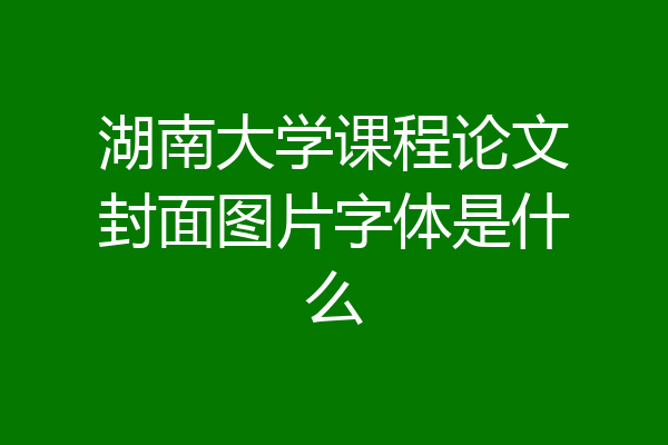 湖南大学课程论文封面图片字体是什么