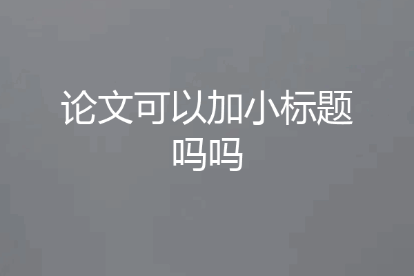 论文可以加小标题吗吗