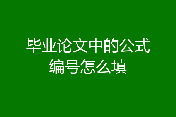 毕业论文中的公式编号怎么填
