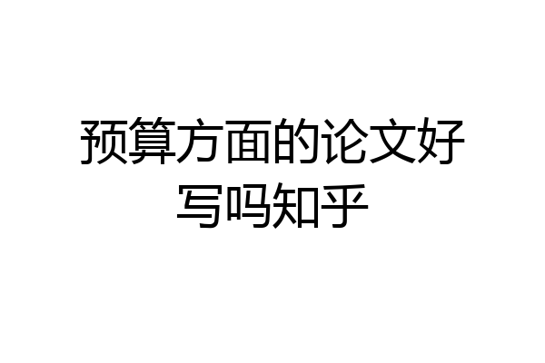 预算方面的论文好写吗知乎