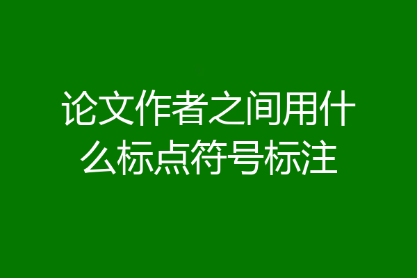 论文作者之间用什么标点符号标注