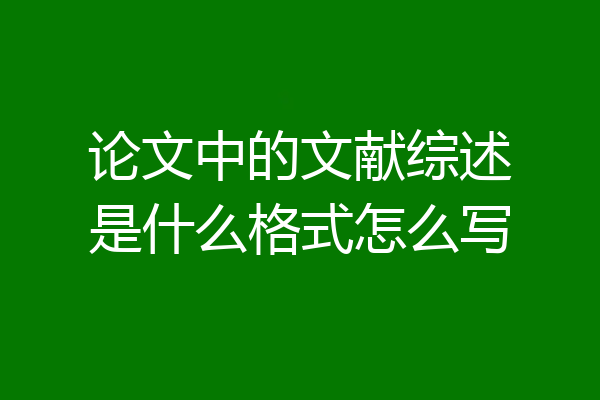 论文中的文献综述是什么格式怎么写