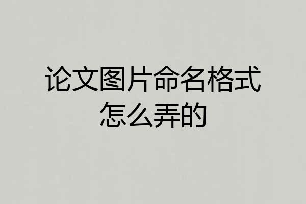 论文图片命名格式怎么弄的