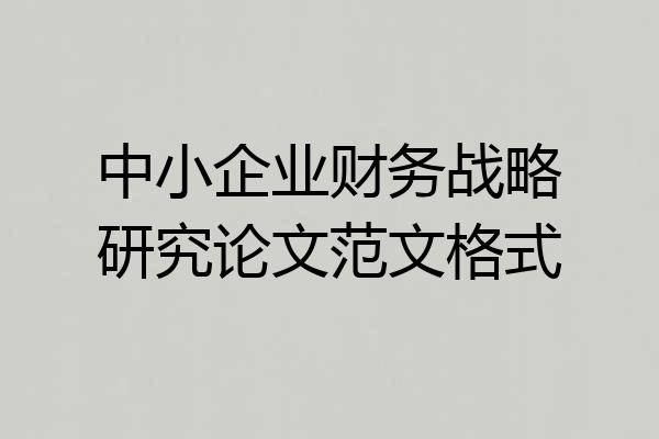 中小企业财务战略研究论文范文格式
