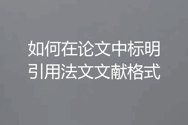 如何在论文中标明引用法文文献格式
