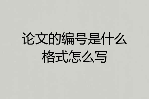 论文的编号是什么格式怎么写