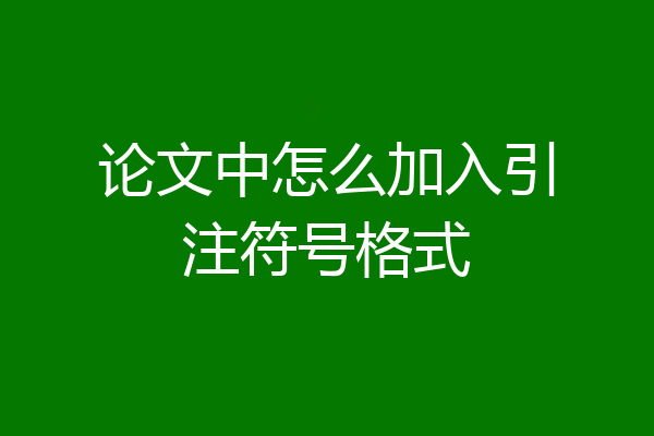 论文中怎么加入引注符号格式