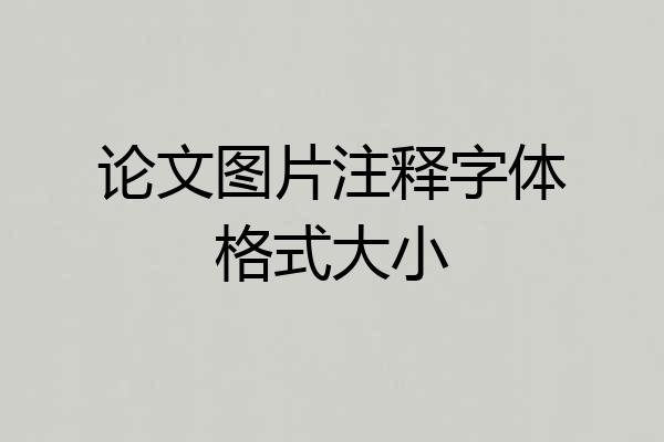 论文图片注释字体格式大小