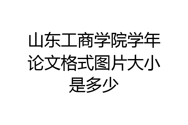 山东工商学院学年论文格式图片大小是多少