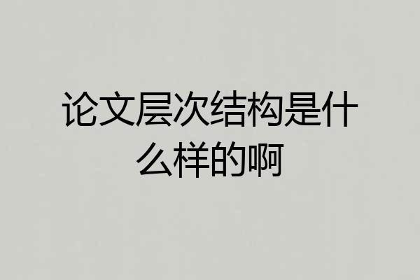 论文层次结构是什么样的啊