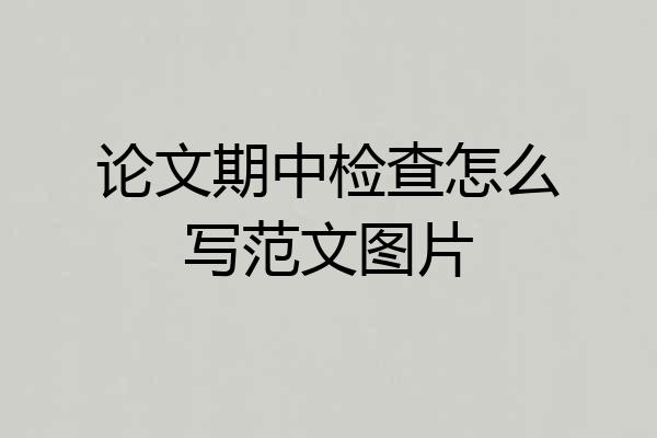 论文期中检查怎么写范文图片