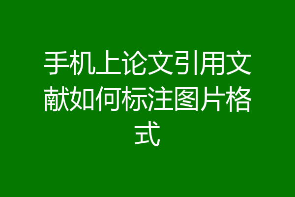 手机上论文引用文献如何标注图片格式