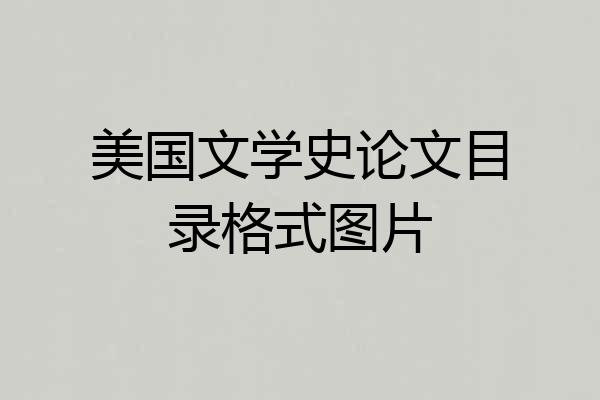 美国文学史论文目录格式图片