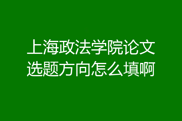 上海政法学院论文选题方向怎么填啊