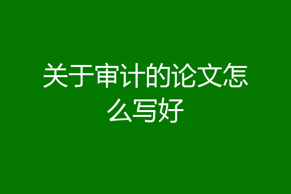 关于审计的论文怎么写好