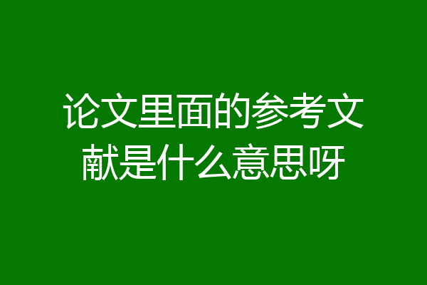 论文里面的参考文献是什么意思呀