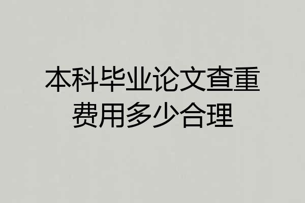 本科毕业论文查重费用多少合理