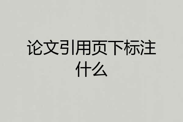 论文引用页下标注什么