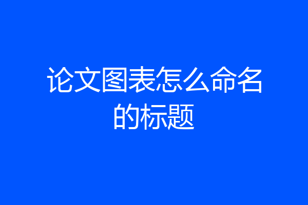 论文图表怎么命名的标题