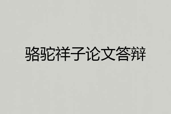 骆驼祥子论文答辩