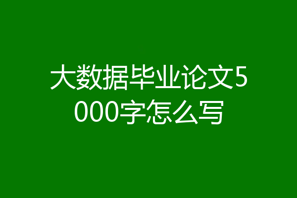 大数据毕业论文5000字怎么写
