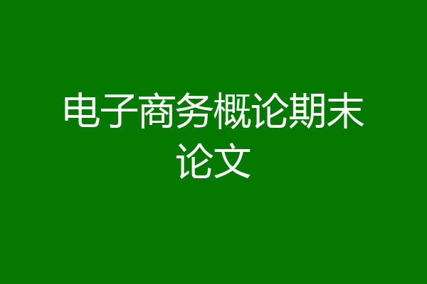 电子商务概论期末论文
