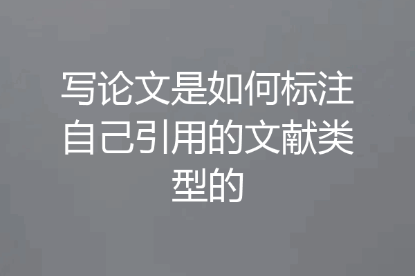 写论文是如何标注自己引用的文献类型的
