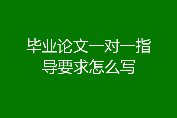毕业论文一对一指导要求怎么写