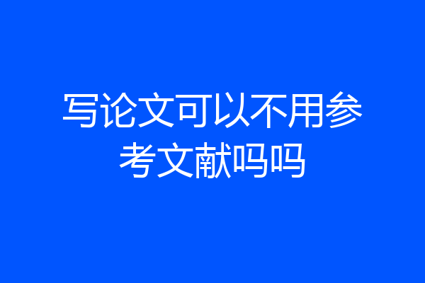 写论文可以不用参考文献吗吗