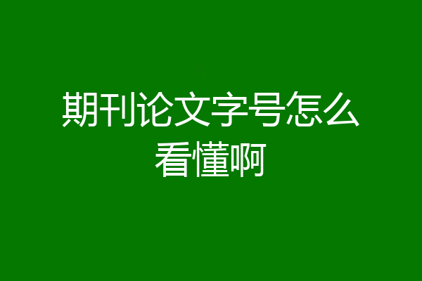 期刊论文字号怎么看懂啊